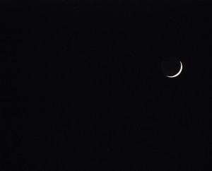 Begegnung in der Nacht