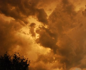 Harren auf das Licht